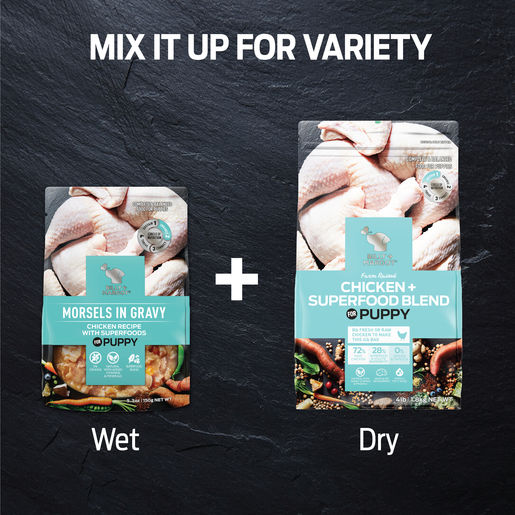 Billy + Margot Chicken + Superfoods Recipe Dry Puppy Food 1.8kg