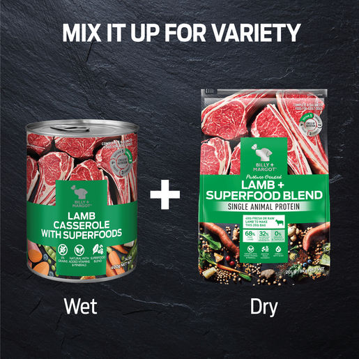 Billy + Margot Lamb Casserole with Superfoods Wet Adult Dog Food 400g