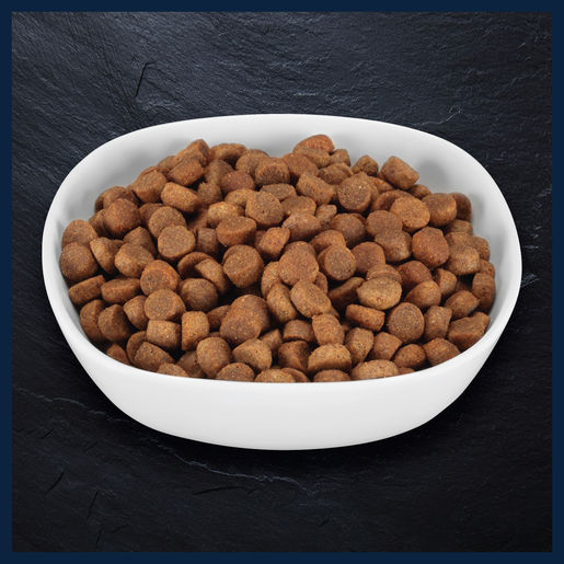Billy + Margot Wild Kangaroo + Superfood Blend Dry Adult Dog Food 1.8kg