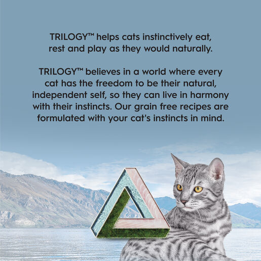 Trilogy™ Hydrating Protein Mousse Adult Wet Cat Food Wild Caught Mackerel 85g