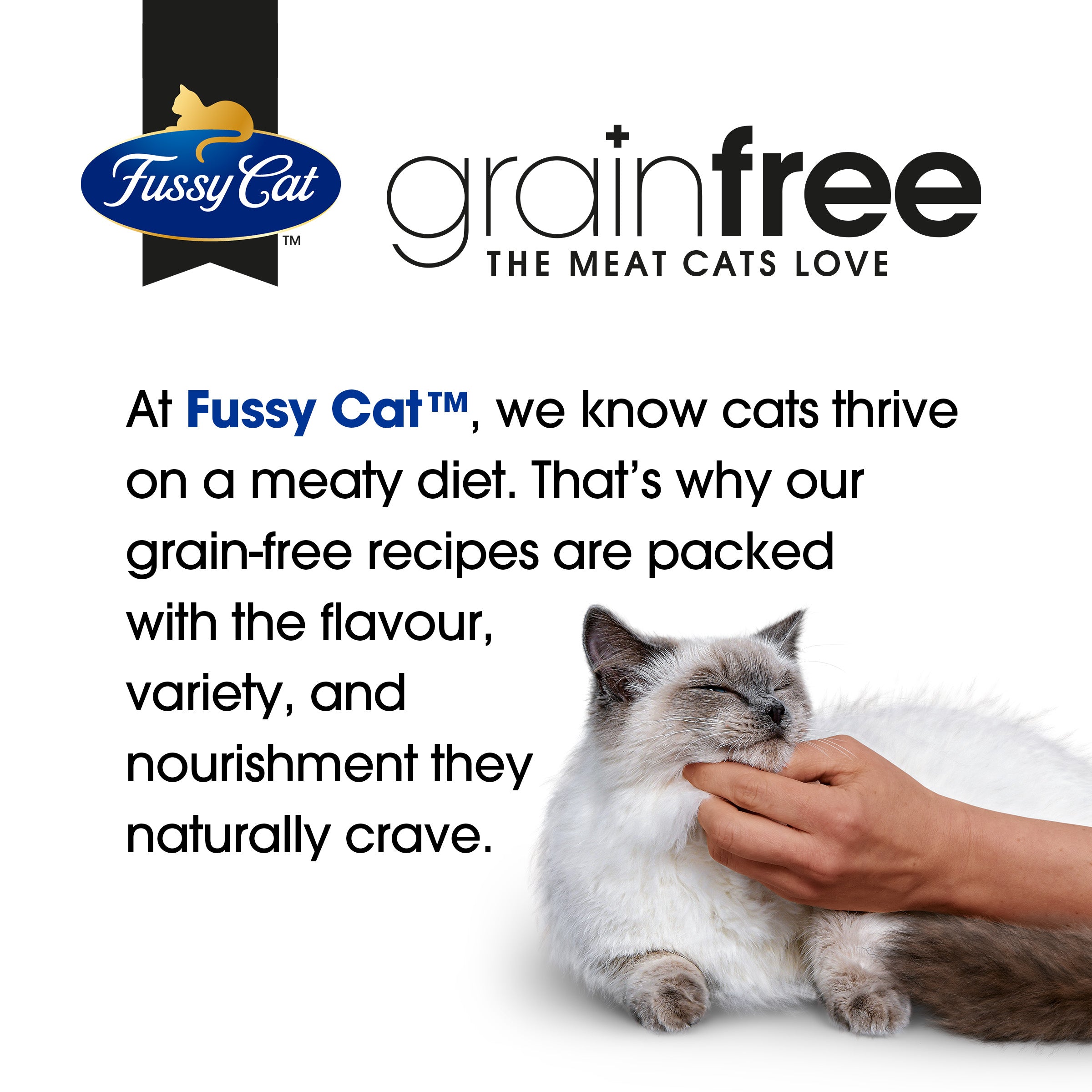 Fussy Cat Grain Free Salmon, Whitefish and Olive Oil Dry Cat Food 500g