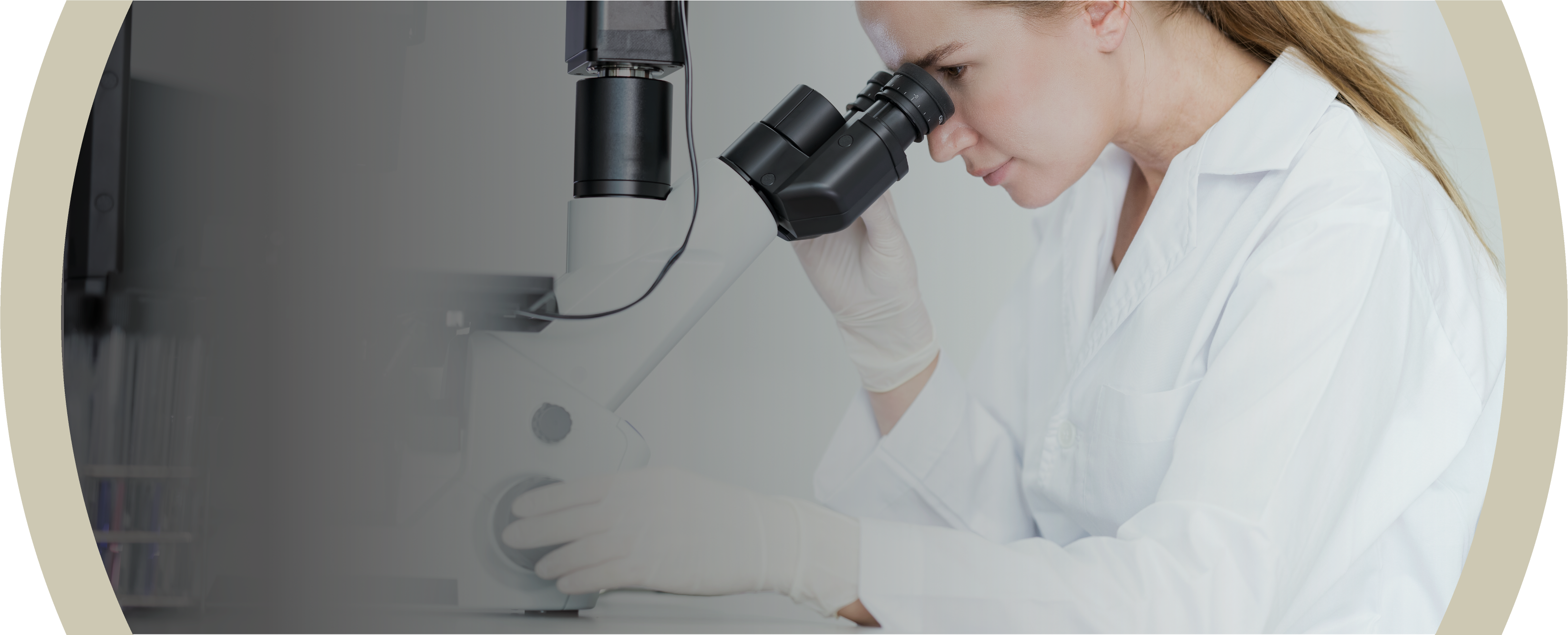 Continuous Innovation