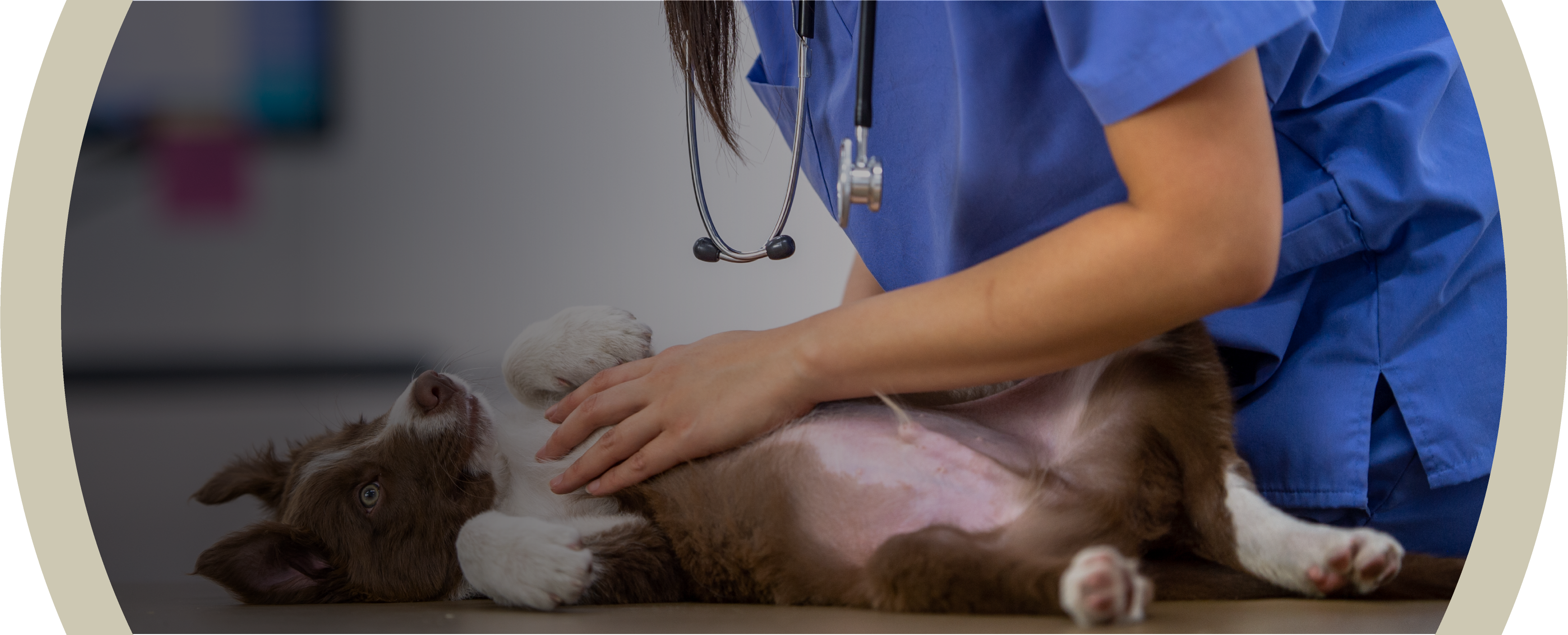 Education + Advocacy